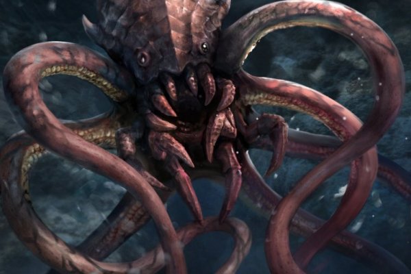 Kraken kraken link24 info